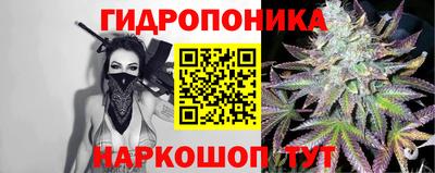 прущие грибы Шебекино