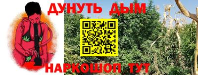Альфа ПВП Шахты